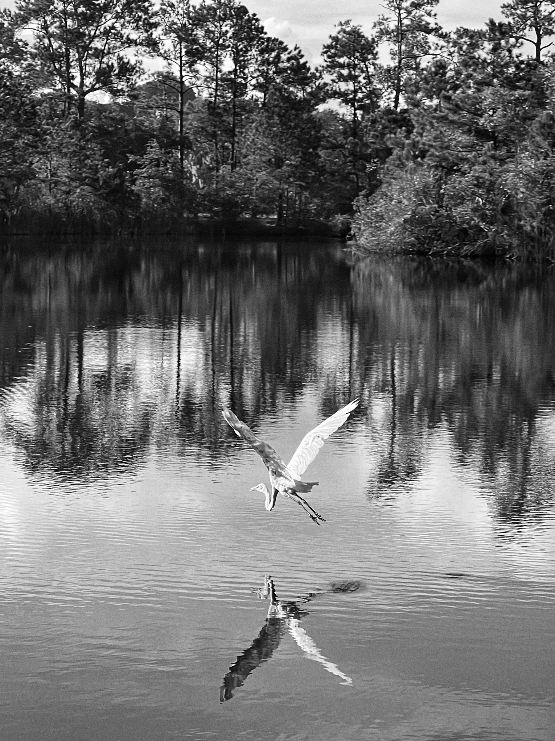 Photograph by Seth Dechtman, frame 1