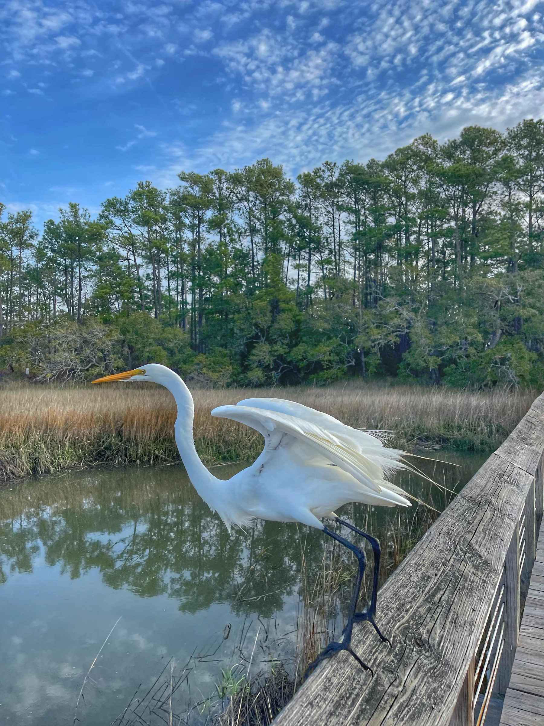 Photograph by Seth Dechtman, frame 7