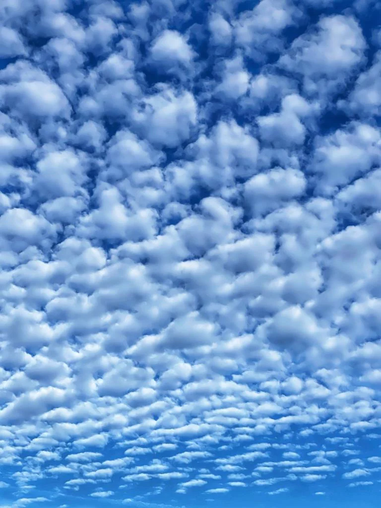Photograph by Seth Dechtman, frame 9