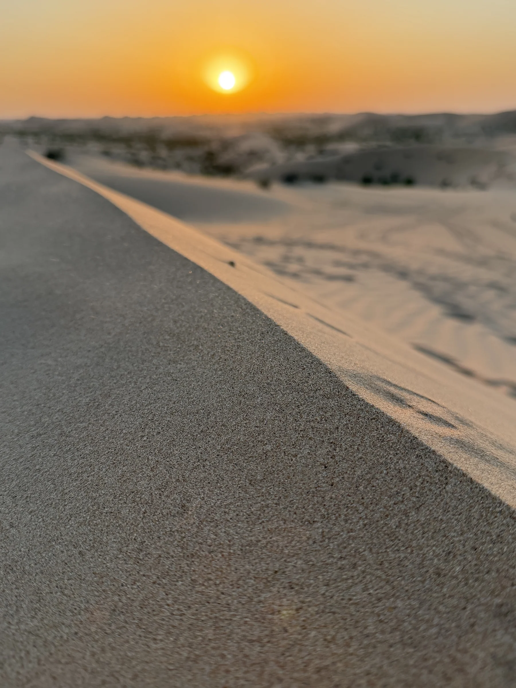 Photograph by Seth Dechtman, frame 11