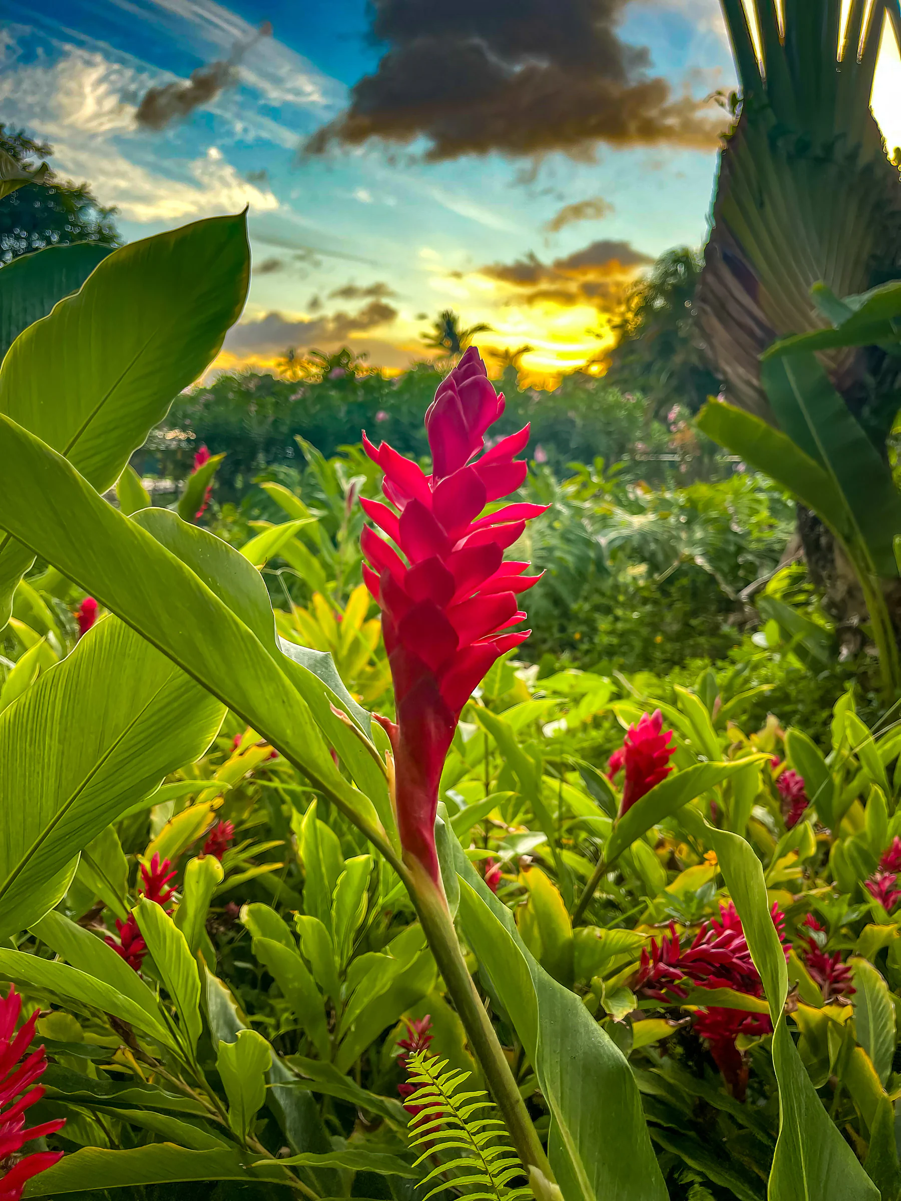 Photograph by Seth Dechtman, frame 14