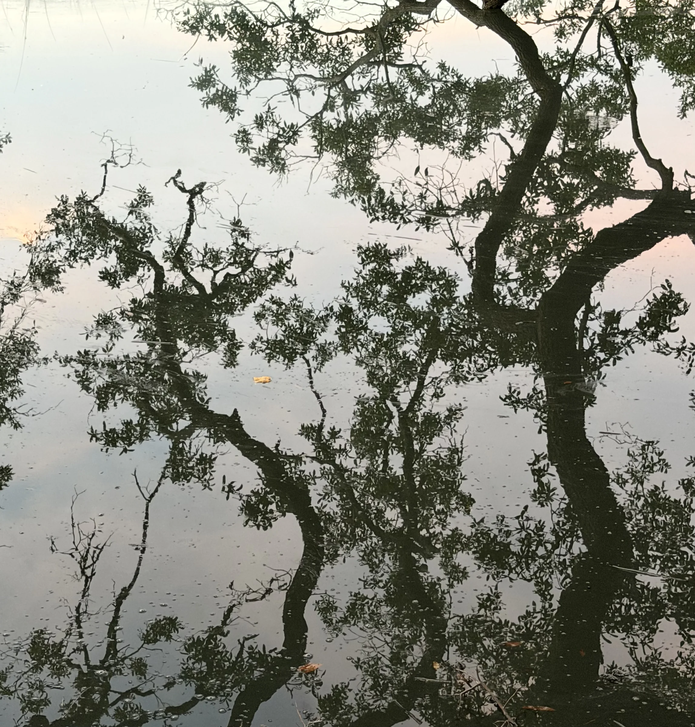 Photograph by Seth Dechtman, frame 17