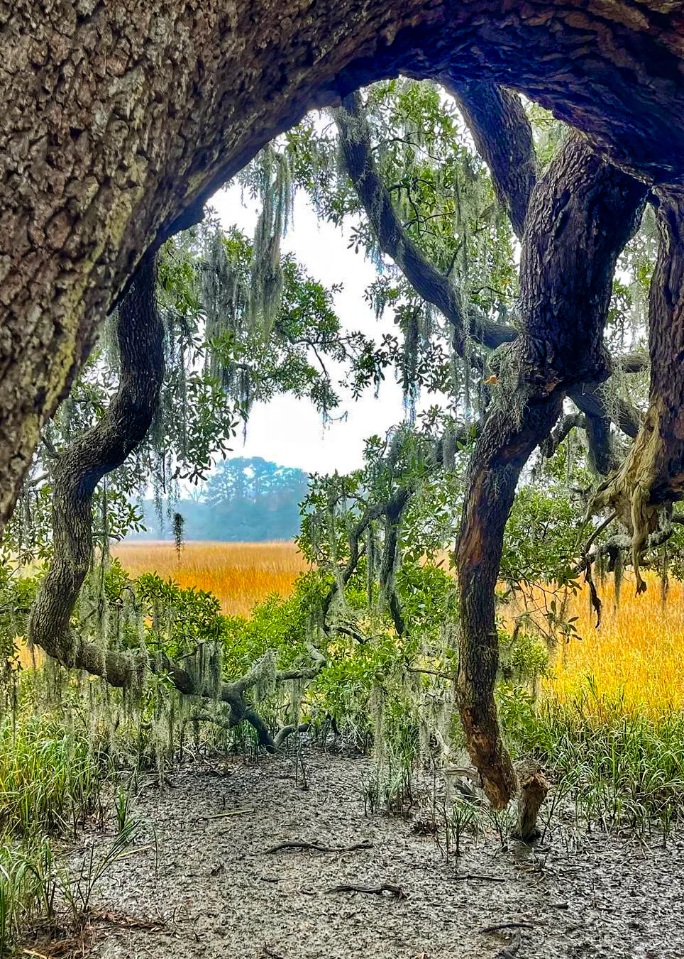 Photograph by Seth Dechtman, frame 19