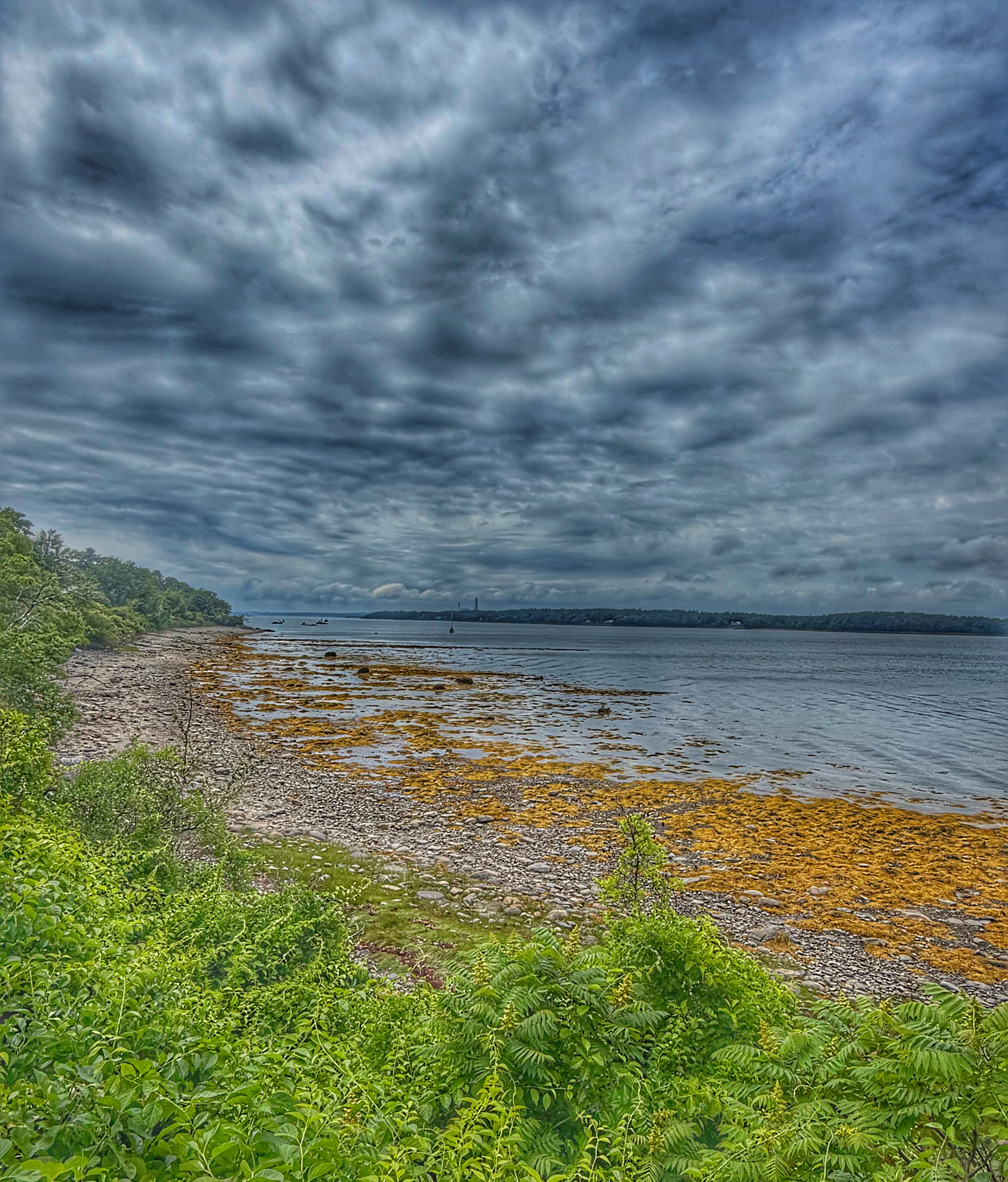 Photograph by Seth Dechtman, frame 20