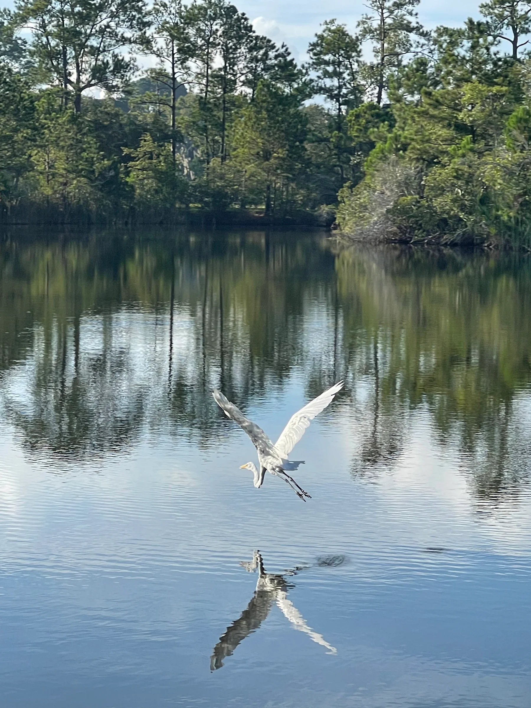 Photograph by Seth Dechtman, frame 21
