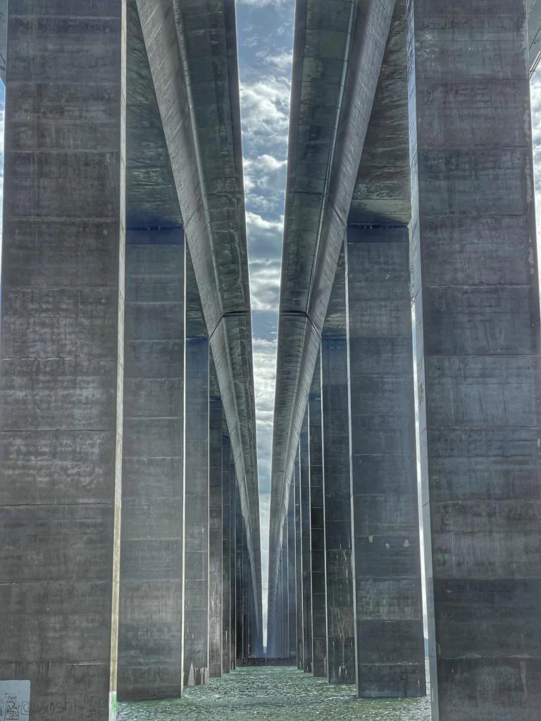 Photograph by Seth Dechtman, frame 23