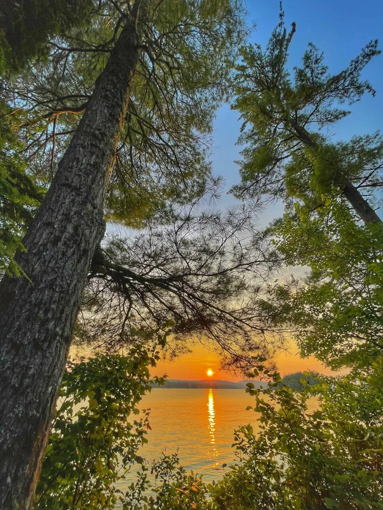 Photograph by Seth Dechtman