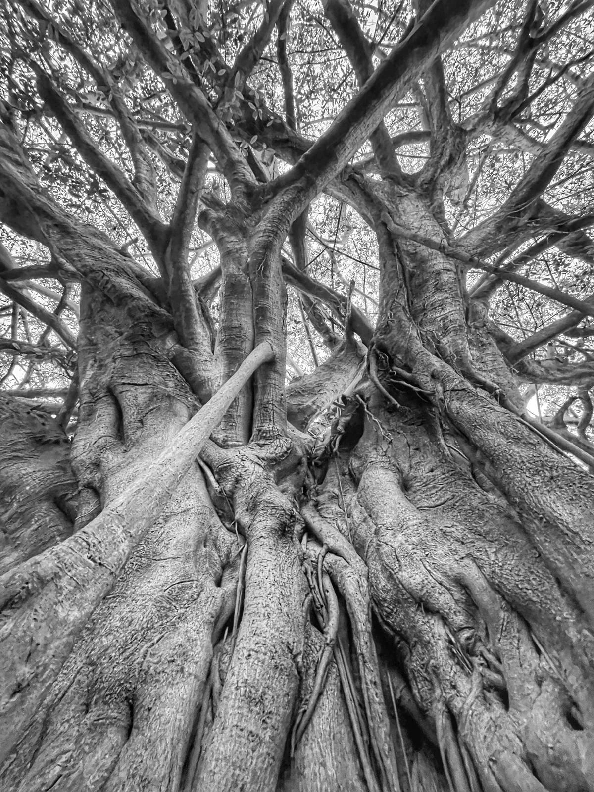 Photograph by Seth Dechtman