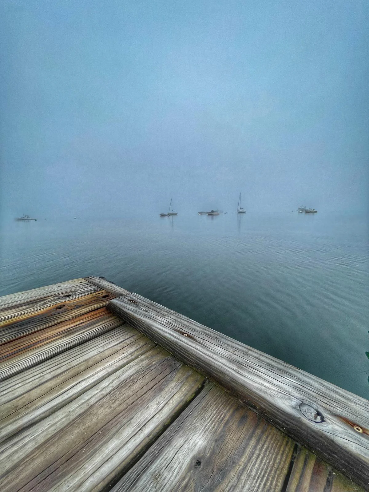 Photograph by Seth Dechtman, frame 26