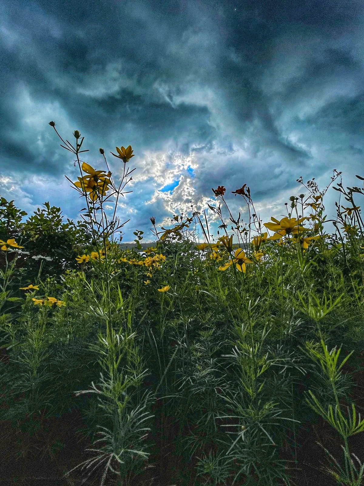 Photograph by Seth Dechtman