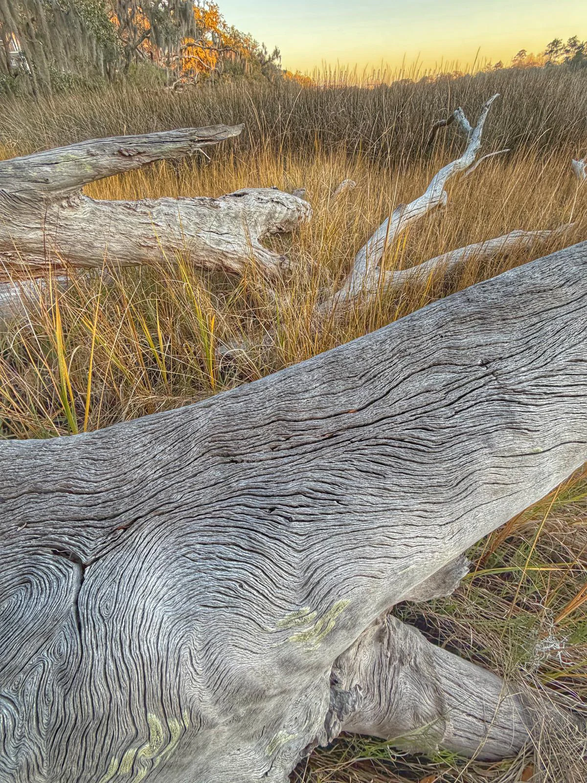 Photograph by Seth Dechtman, frame 29