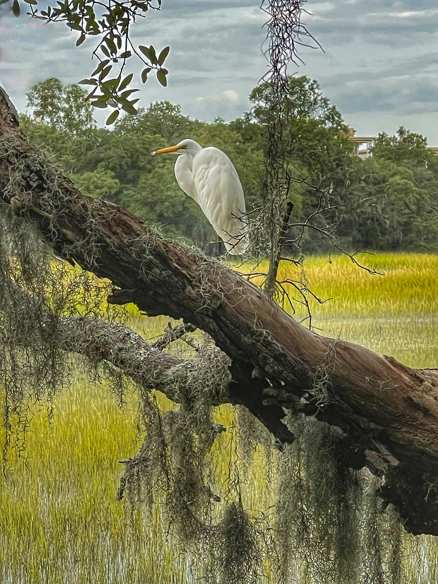 Photograph by Seth Dechtman, frame 32